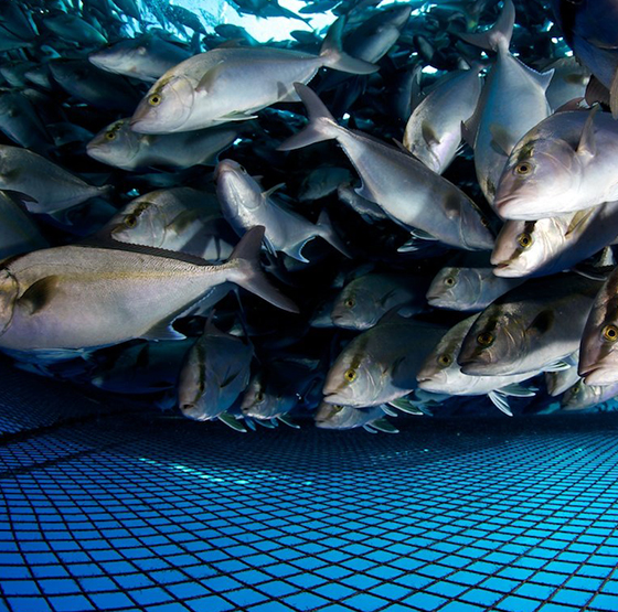 PSA 酸素発生器のアプリケーション