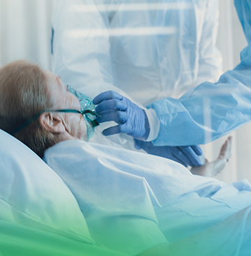 プロフェッショナルな品質