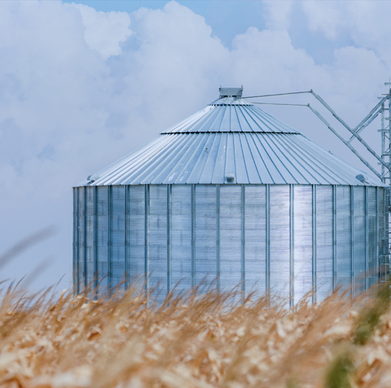 制御された雰囲気（穀倉）